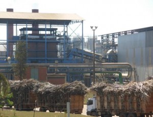 brasilia-sedia-programa-de-capacitacao-para-inovacao-no-setor sucroenergético