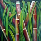 syngenta-comercializa-novas-variedades-de cana-de-acucar-para-seus-produtos-plene-evolve-e-plene-pb