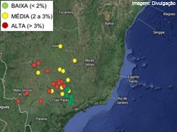 syngenta-infestacao-de-broca