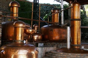 cachaca-mineira-e-atrativo-para-turistas