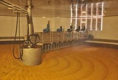 cerveja-copa-do-mundo1