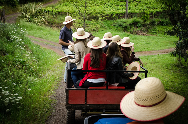 Passeio de tuque-tuque1 Foto Tatiana Cavagnolli