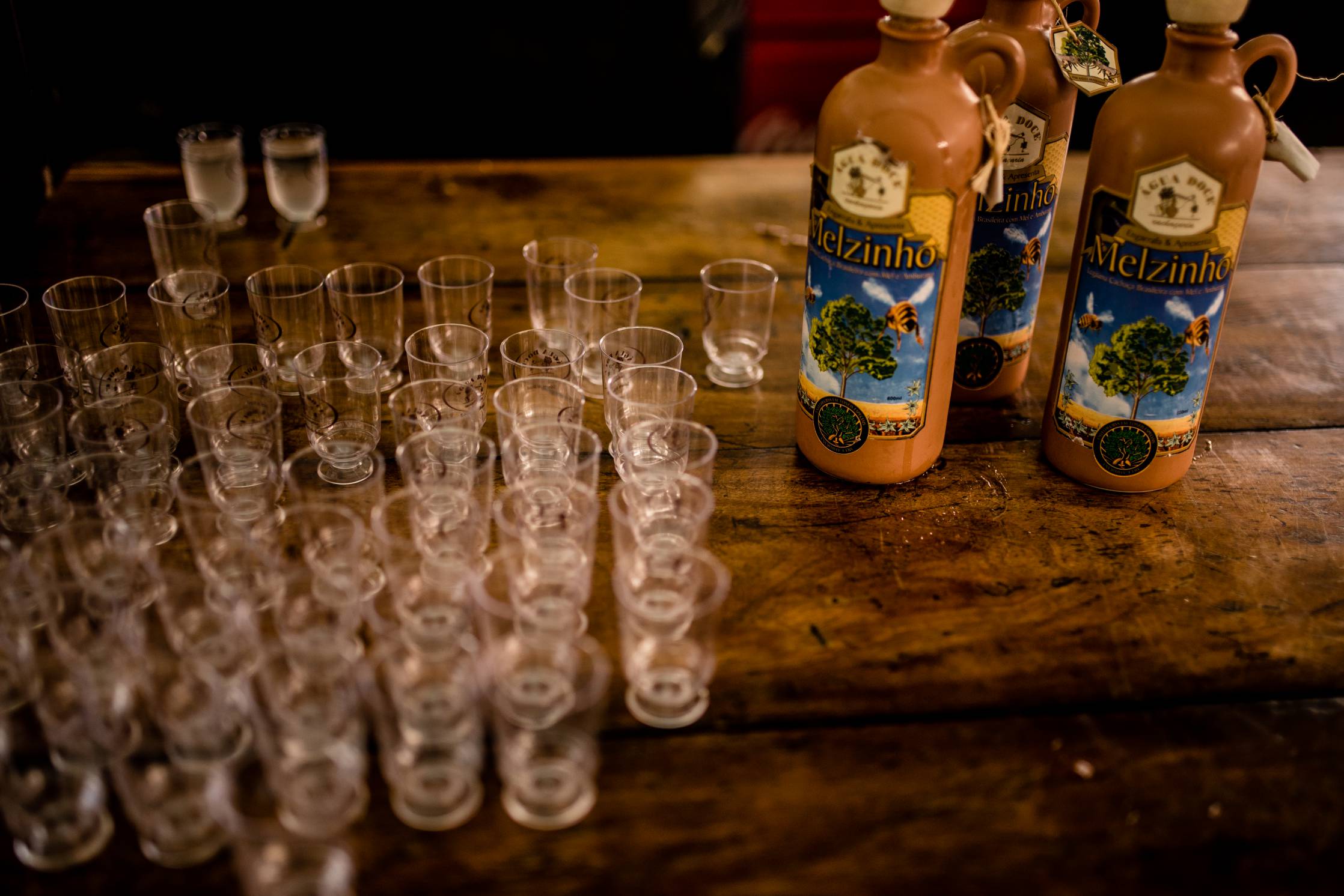 Copacesp (259)_compressed