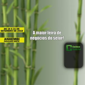 imagem_release_1432549